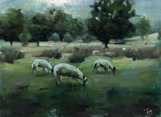 A Flock At Rest