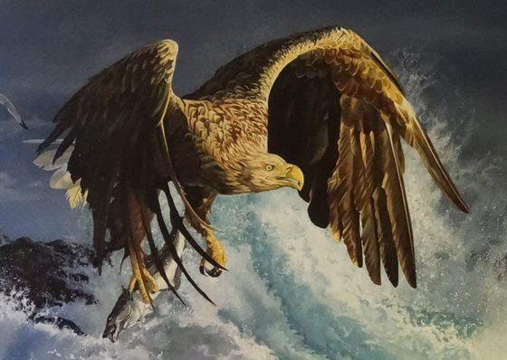 L'Aigle de la mer et mer déchainée