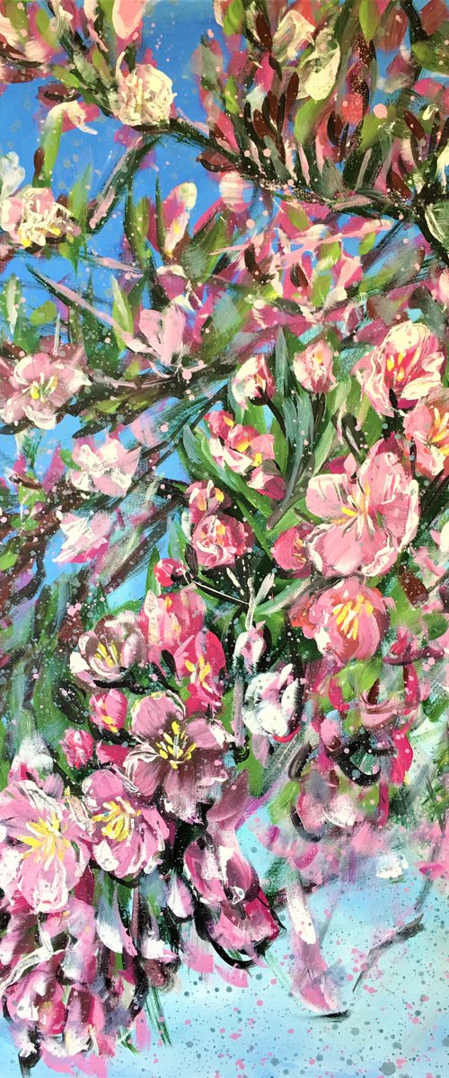 Where The Sun Shines Bright - Crabapple blossoms by HSIN LIN