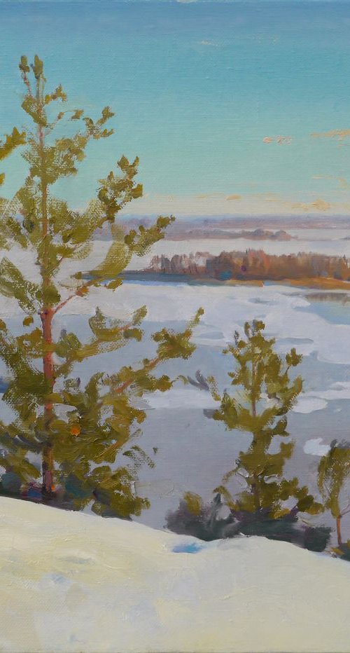 Pines over the Dnieper by Victor Onyshchenko