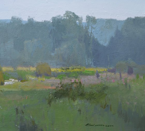 Shallow Stream