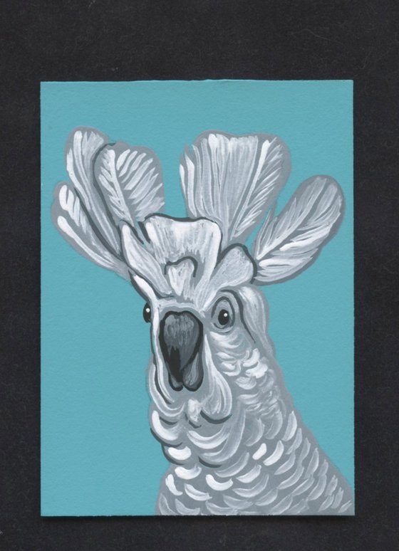 ACEO ATC Original Miniature Painting Parrot Umbrella Cockatoo Pet Bird Art-Carla Smale