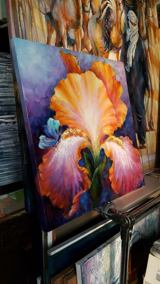 Oil flowers Painting " Delicate Iris " , impasto original art 52x52cm