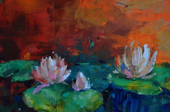 Lily pond. Orange love