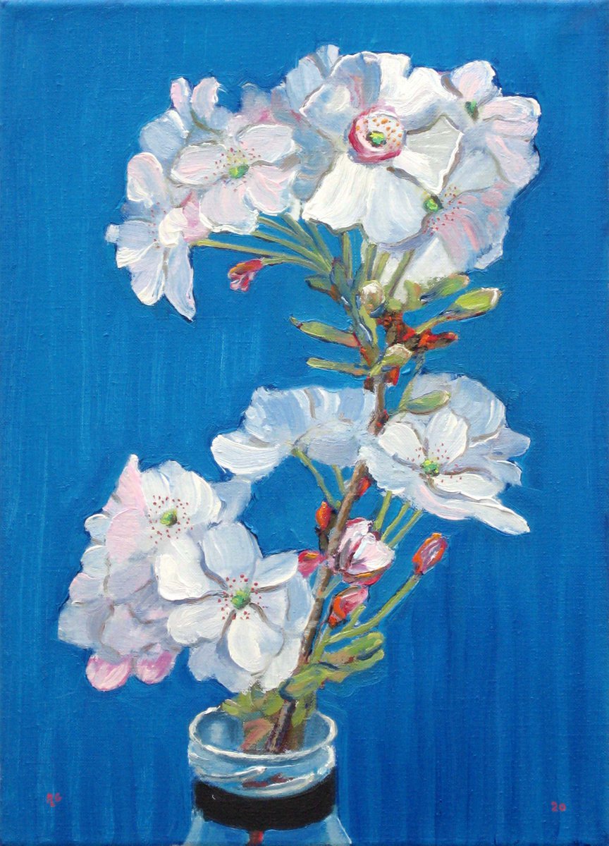 Cherry Blossom against a Blue Background by Richard Gibson