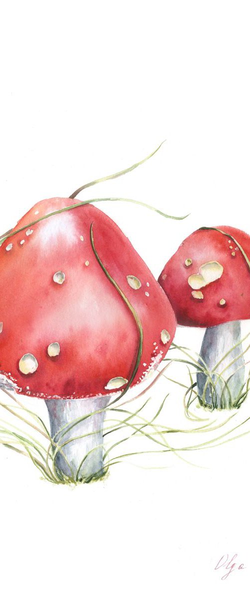 Amanita Mushrooms by Olga Koelsch