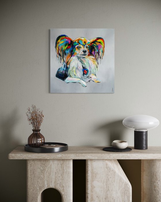 Papillon dog
