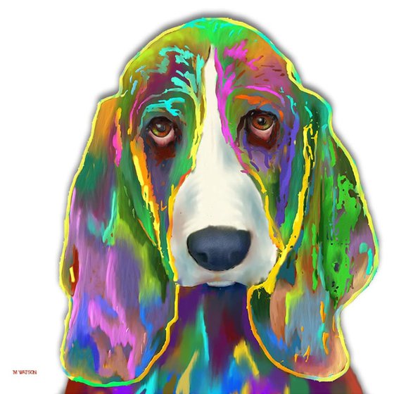 Basset Hound 3