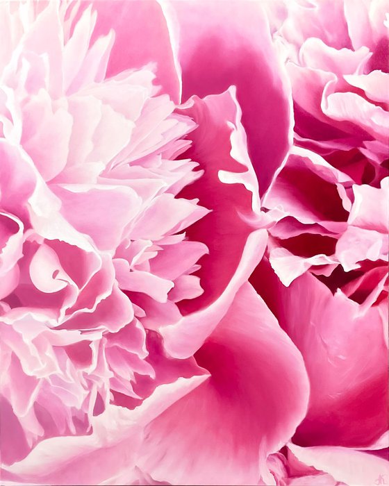 Angel’s Kiss. Peonies