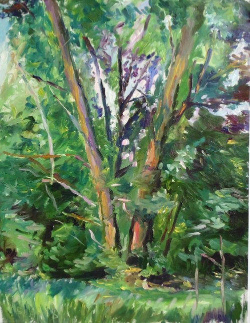 Two trees. Oil on cardboard. 35 x 45 cm by Alexander Shvyrkov