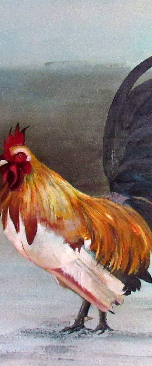 French Rooster by Geraldo Braga