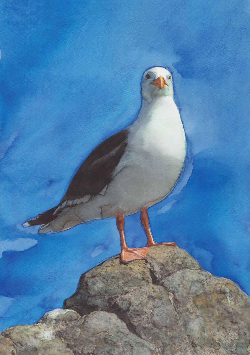 Blacksea Seagull by REME Jr.