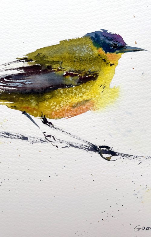 Wagtail by Eugenia Gorbacheva