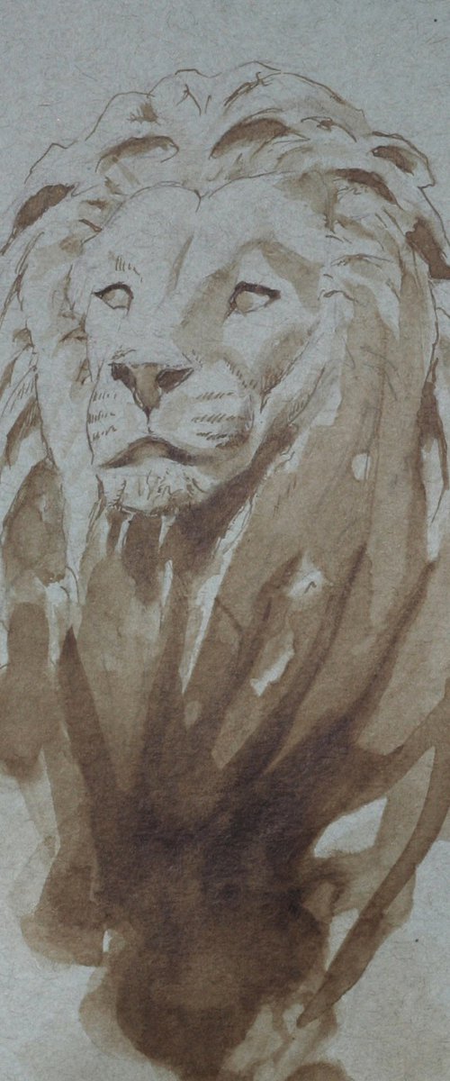 Boston Library Lion in pen & ink wash by John Fleck