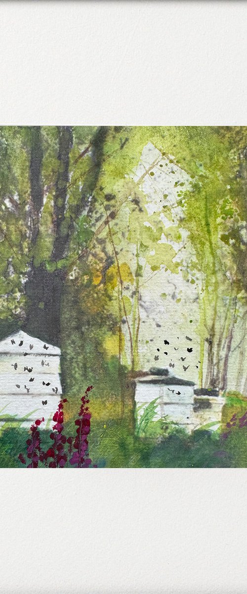 Bee hives in the orchard by Teresa Tanner