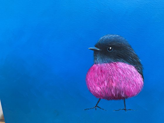 Pink Robin