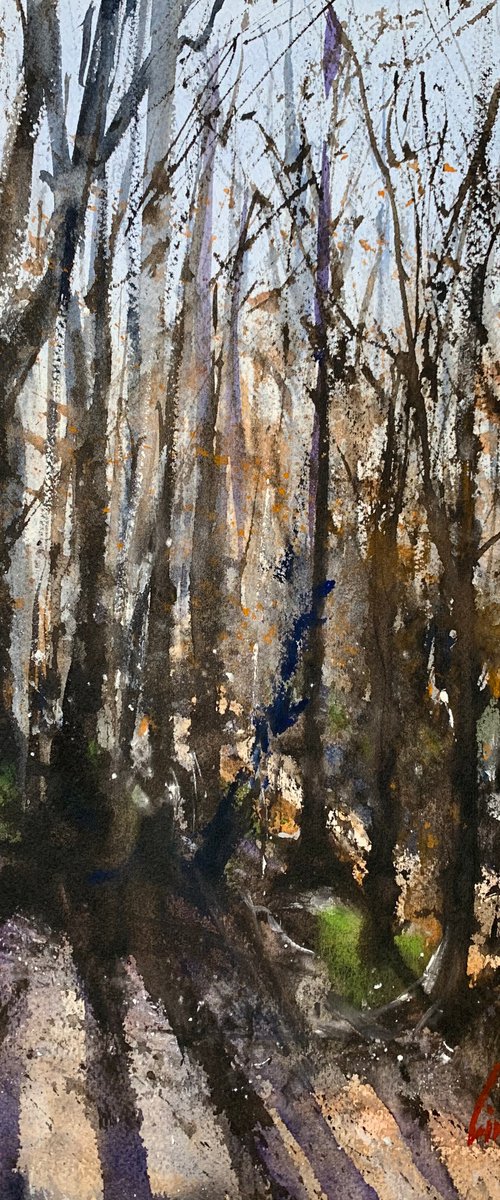 Sunny day in the woods by Tihomir Cirkvencic