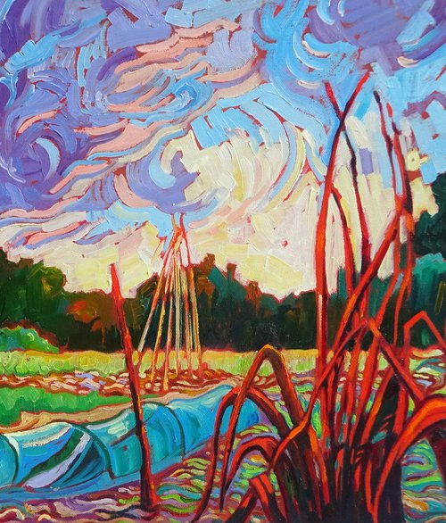 Allotment by Mary Kemp
