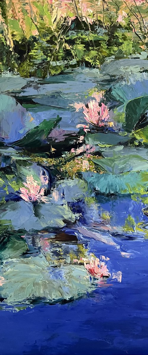 Water lilies pond by Elena Mashajeva-Agraphiotis