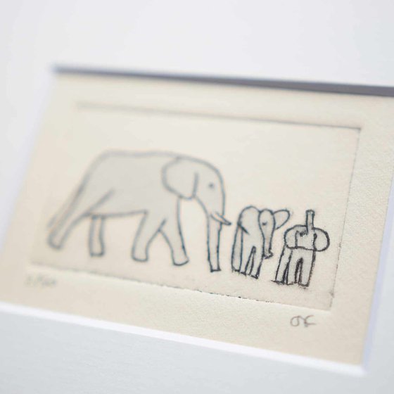 Small framed elephants