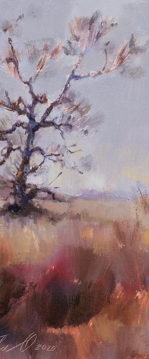 Lonely tree by Olha Laptieva