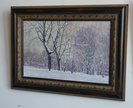 Maple Alley in January