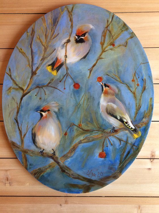 Birds oil painting - Waxwings ellipse canvas - Cozy wall art - Gift idea for bird lover