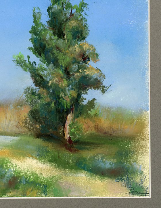 Tree Landscape