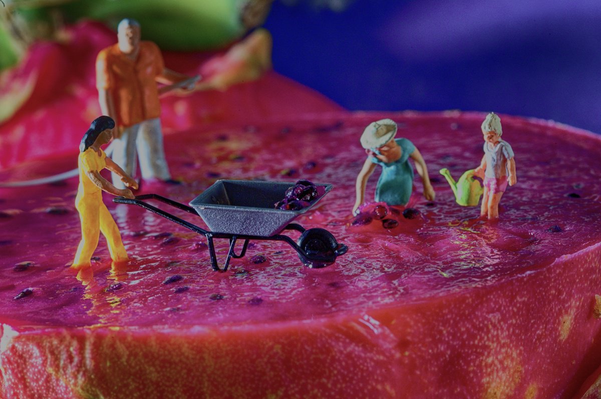 Organic Abstract Photograph By Marc Ehrenbold, 398 X 30", Chasing The Dragon Fruit, Original Artwork