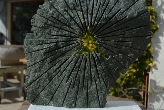 "Brilliance of Mind"