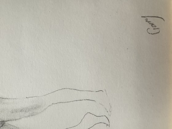 Nude 12