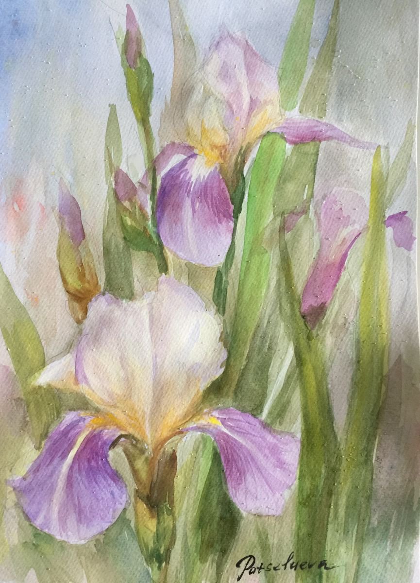 Irises (2016) Watercolour by Irina Potselueva | Artfinder