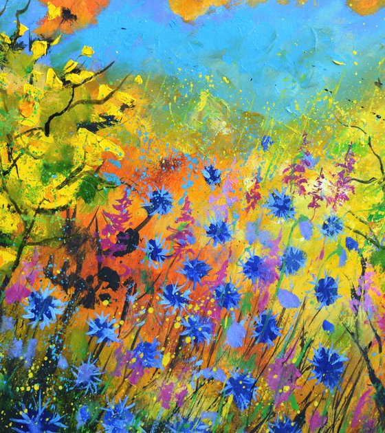 Blue cornflowers  7722