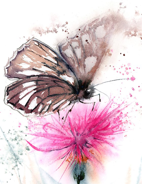 Brown butterfly on the pink thistle