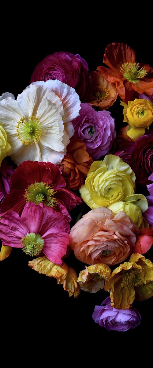 Poppies and Buttercups by Nadia Culph