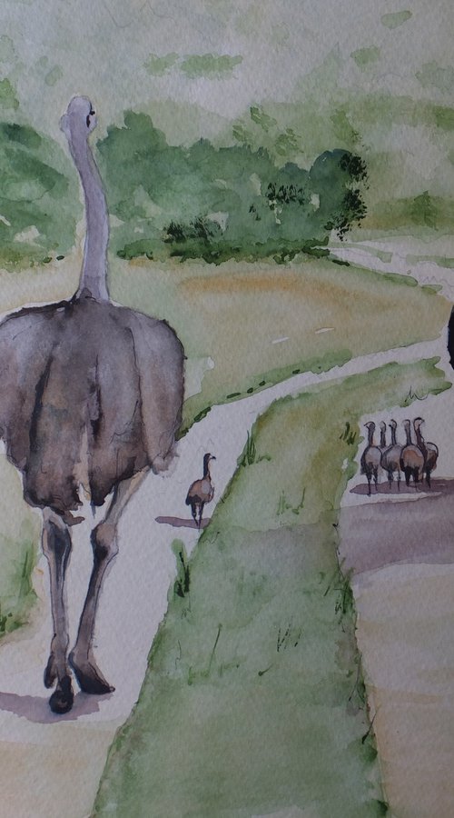 The Ostrich Family by David Harmer