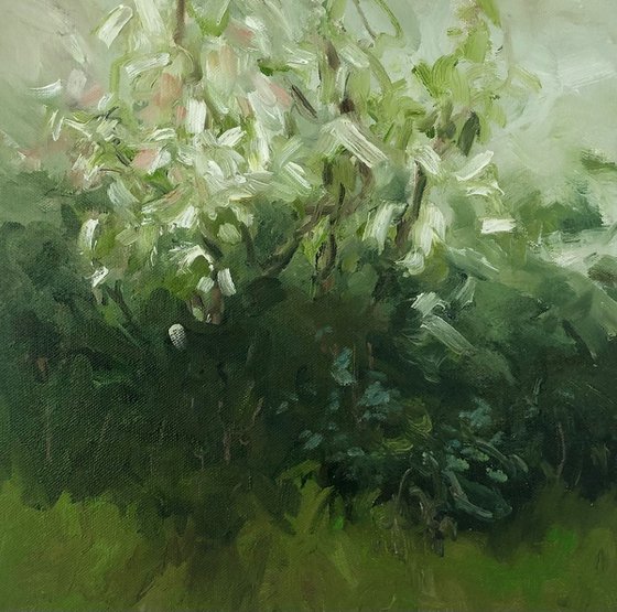 blossom