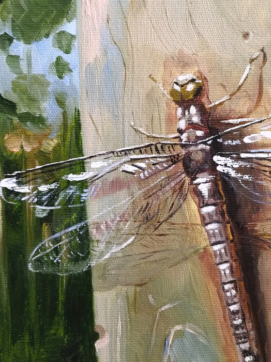 Dragonfly with transparent wings sits on a tree