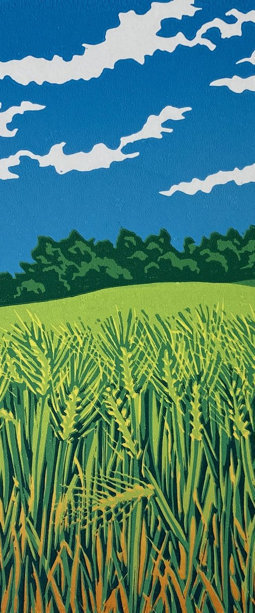 Ripening Barley by Shirley Watson