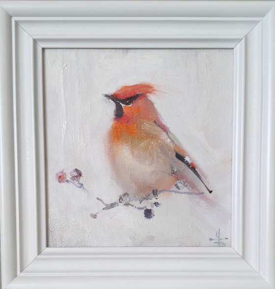Waxwing