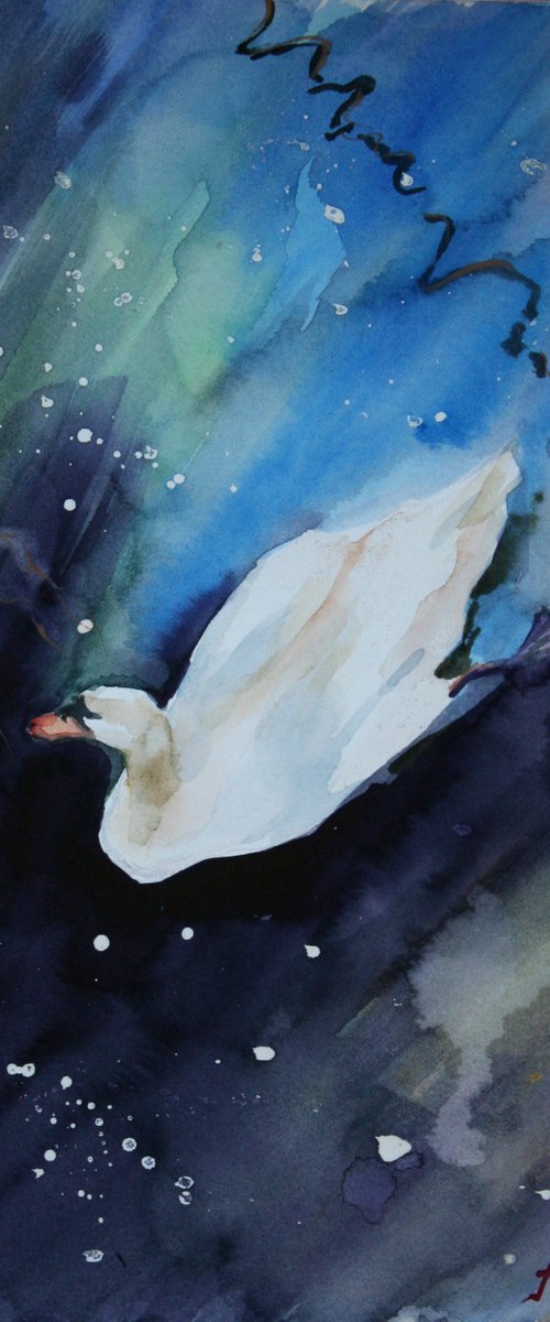 Swan by Alina Shmygol