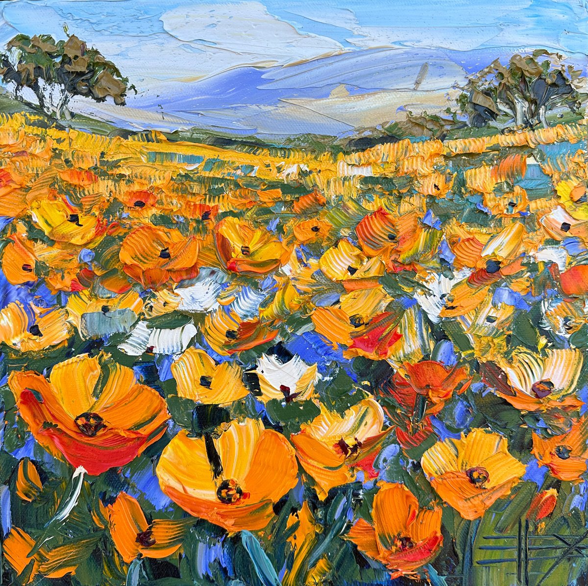 Impressionistic Landscape Oil Painting By Lisa Elley, 12 X 12", Golden Poppy Field, Original Artwork