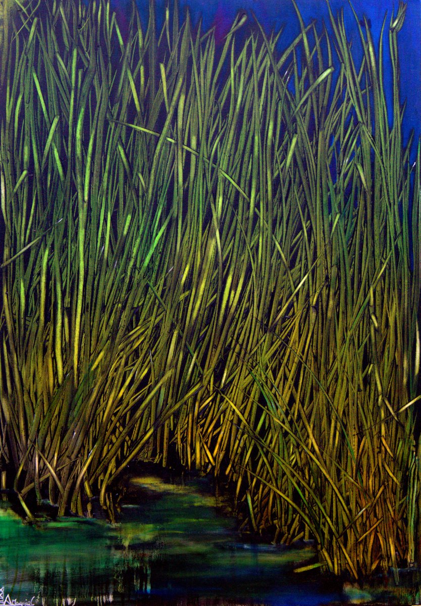 Expressive Botanical Oil Painting By Antonio Maggio Carluccio, 28 X 39, River01, Original Artwork