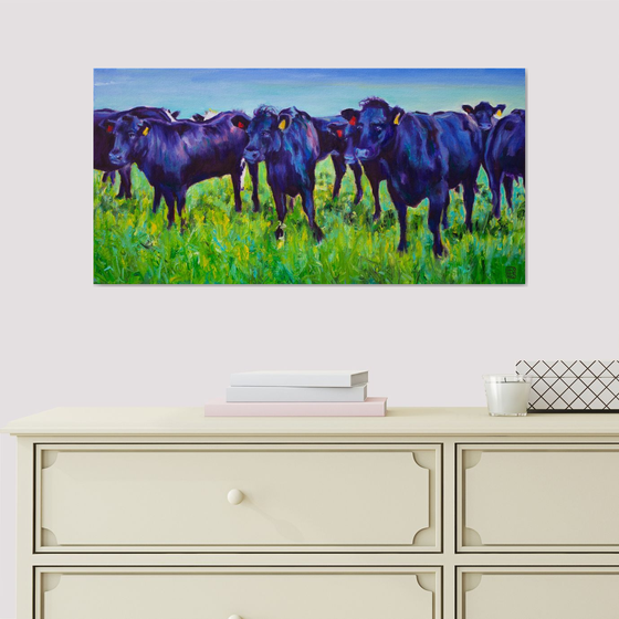 Black Angus Beauties