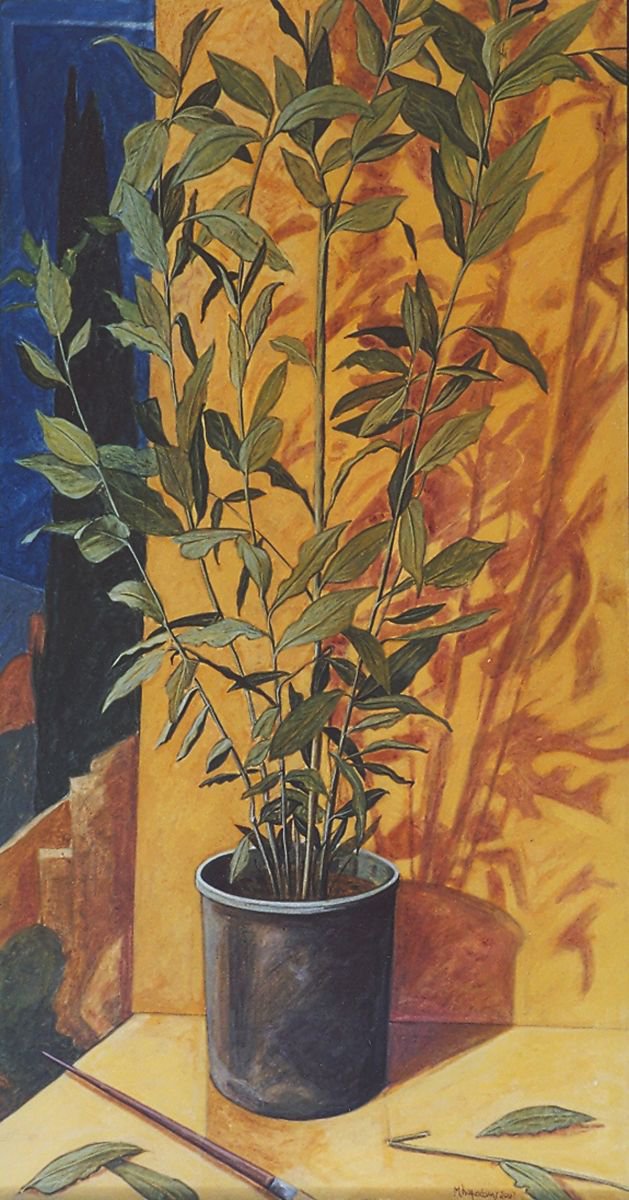 Still life with bayleaf plant by Markos Kampanis