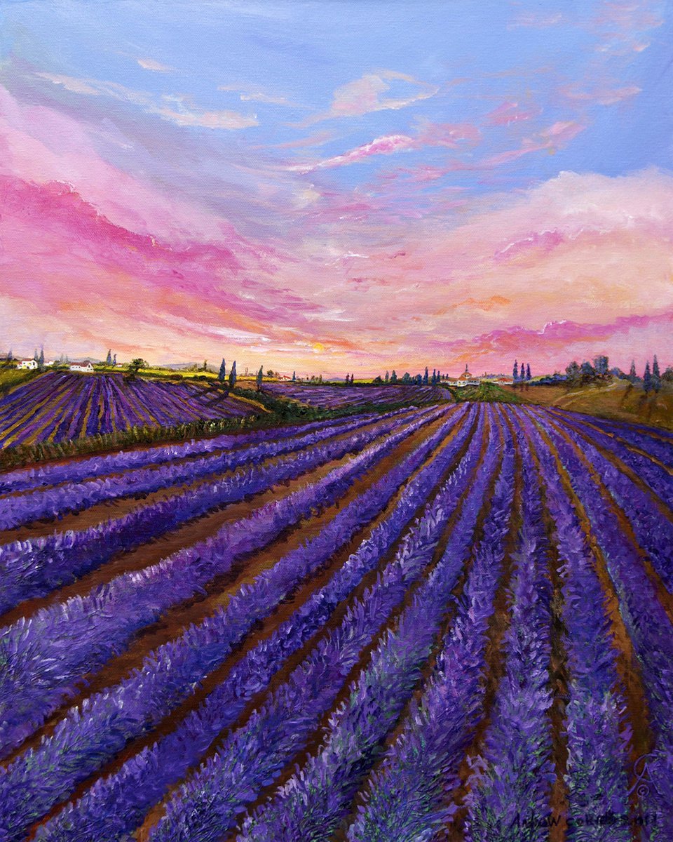 Lavender Fields II by Andrew Cottrell