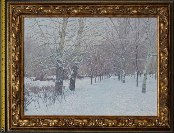 Snow-covered boulevard in Maryino