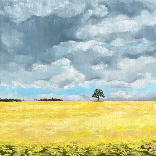 Yellow field, 65 x 65 cm by Tanya Stefanovich