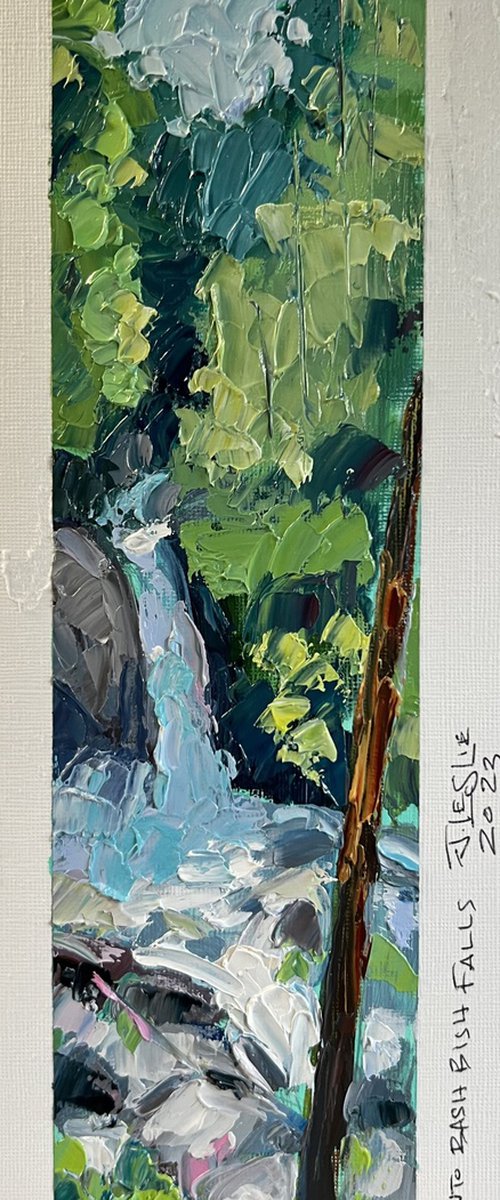 Over Bash Bish Falls by Jimmy Leslie