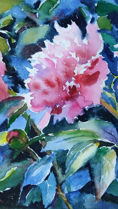 Twilight Peonies by Ann Krasikova